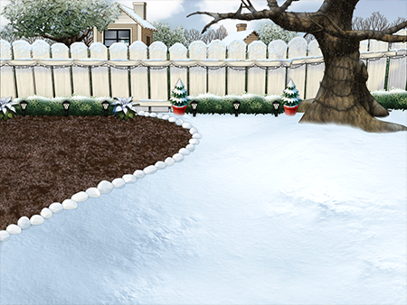 Winter